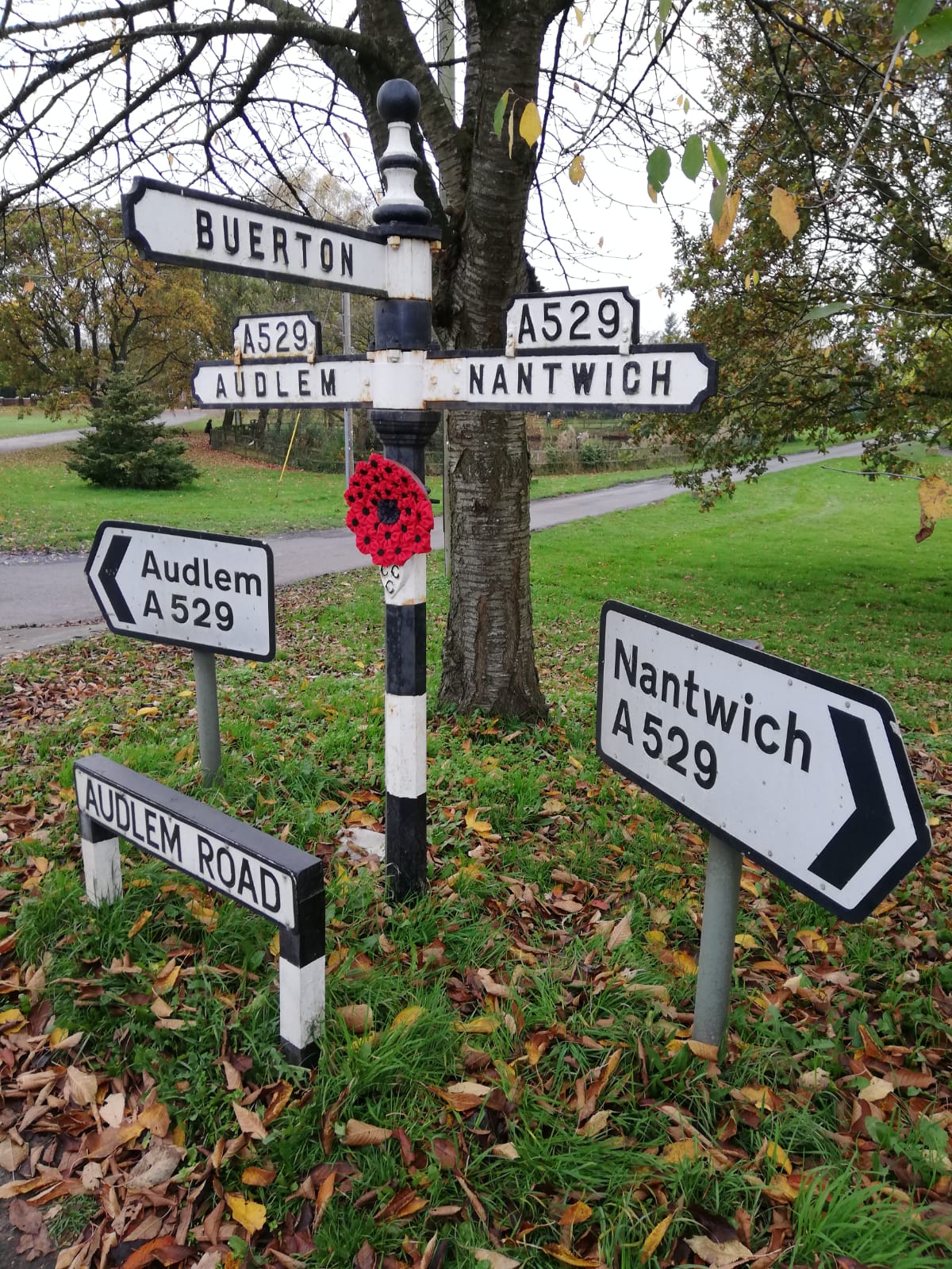 Remembrance day poppy display, Autumn 2024